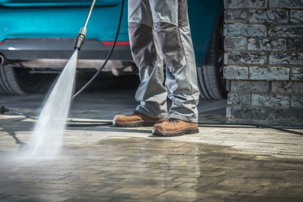 Best Winterizing Services  in Momence, IL