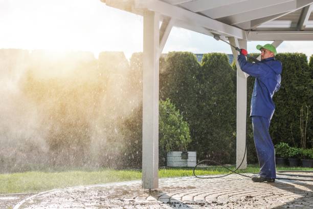 Professional Pressure Washing in Momence, IL