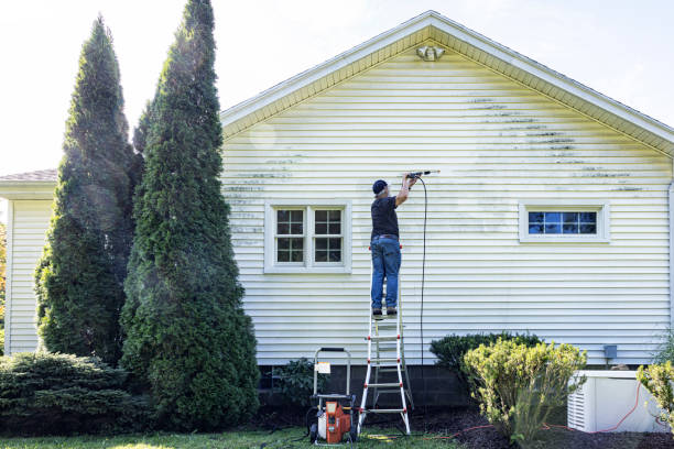 Best Fence Cleaning  in Momence, IL