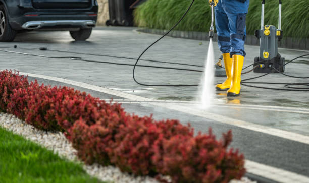 Best Patio and Deck Pressure Washing  in Momence, IL