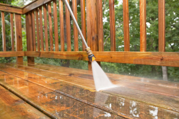 Best Dumpster Area Cleaning  in Momence, IL